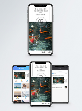 励志锦鲤手机海报配图图片