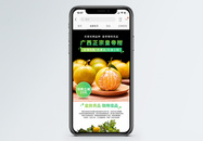 广西皇帝柑水果促销淘宝手机端模板图片