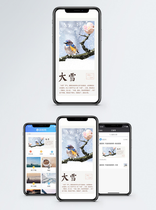 小鸟大雪手机海报配图模板