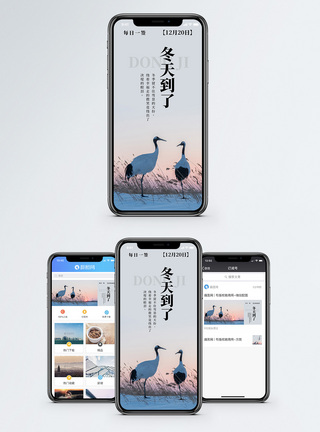 保护动物冬天到了手机海报配图模板
