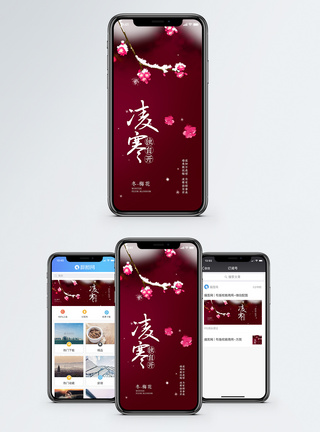 腊梅梅花手机海报配图模板