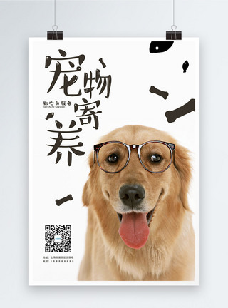 狗正面可爱风宠物寄养海报设计模板