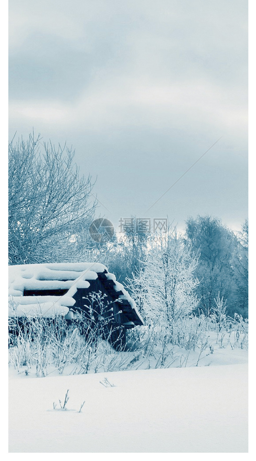 冬季雪景手机壁纸模板素材 正版图片 摄图网