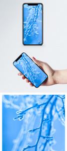 结冰的树枝手机壁纸图片