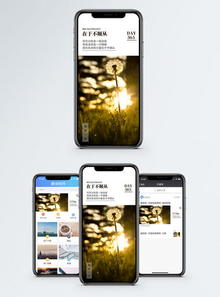 阳光下的蒲公英生命的力量手机海报配图模板