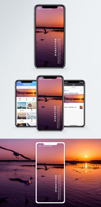 每日一签手机海报配图图片