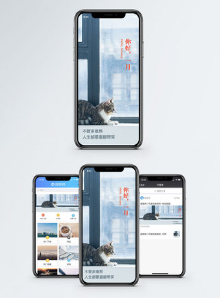 猫咪你好一月手机海报配图模板