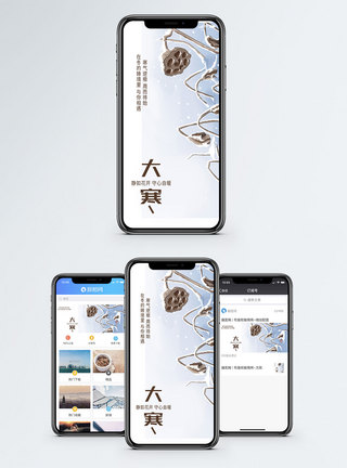大寒手机海报配图图片