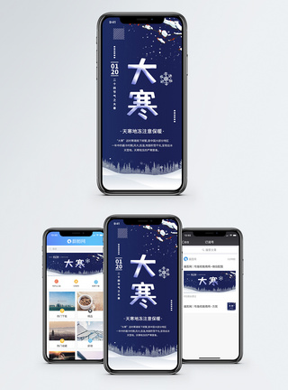 腊梅大寒手机海报配图模板