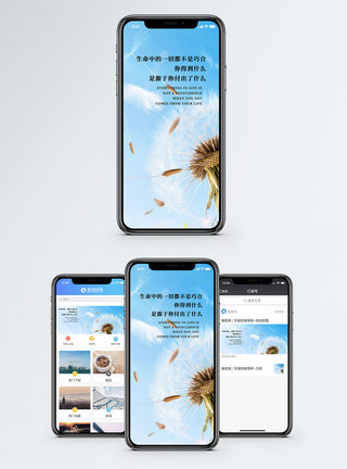 蒲公英付出得到手机海报配图模板