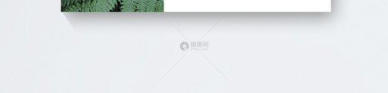 小清新热带植物名片图片