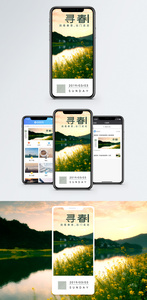 寻春日签手机海报配图图片