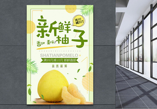 小清新柚子促销海报水果促销高清图片素材