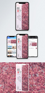 春分节气手机海报配图图片