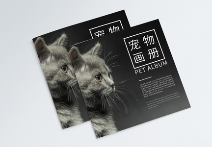 现代简约时尚大气猫咪宠物画册封面图片
