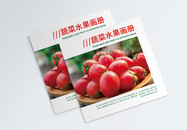 时尚大气红色蔬菜水果画册封面图片