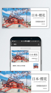日本樱花节公众号封面配图图片