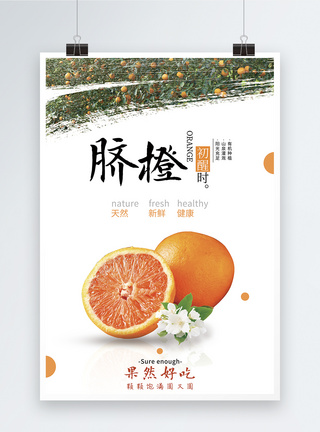 水果脐橙海报图片