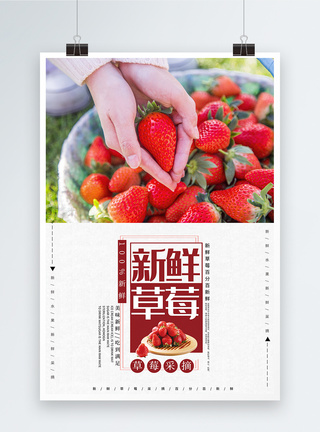 简洁草莓水果海报图片