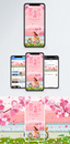 赏樱花手机海报配图图片
