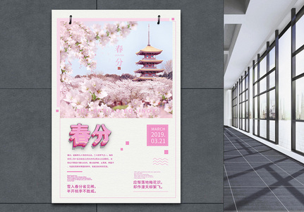 春分粉色唯美节日海报设计图片