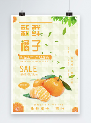 新鲜水果橘子海报图片