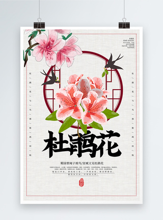 中国风杜鹃花海报图片