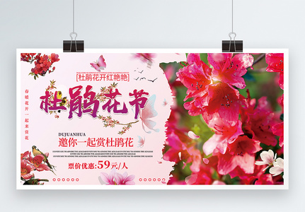 简洁大气杜鹃花节春季赏花旅游促销展板高清图片