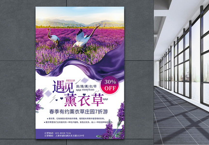 紫色唯美遇见薰衣草春季旅游促销海报图片