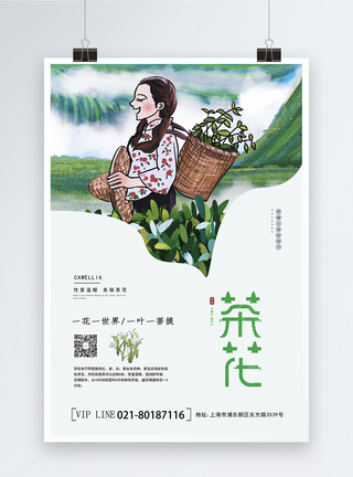 茶花海报图片