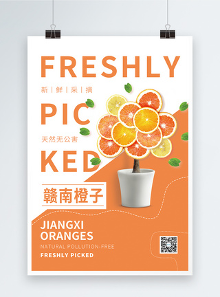 橙子树赣南橙子水果促销宣传海报模板