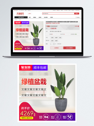 绿色盆栽促销淘宝主图图片