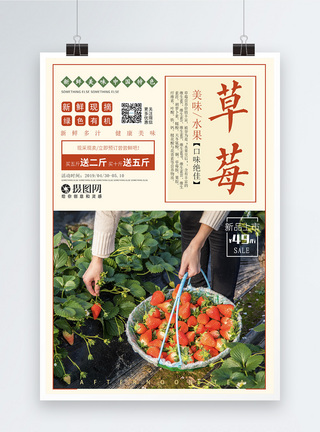 新鲜现摘草莓海报图片