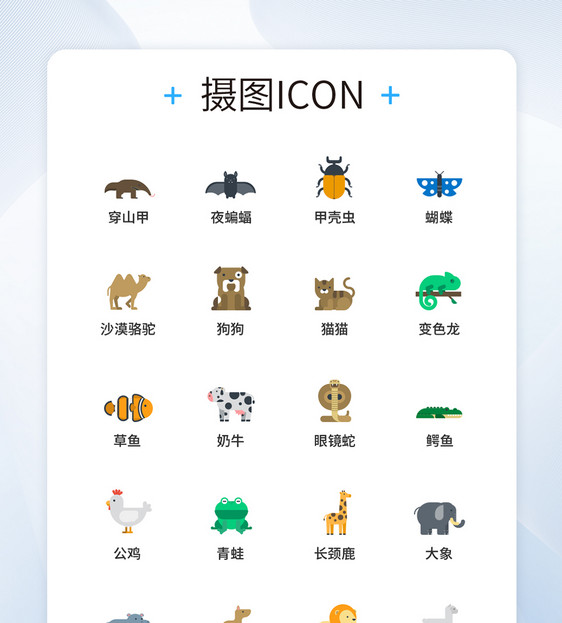 动物图标UI设计icon图标图片