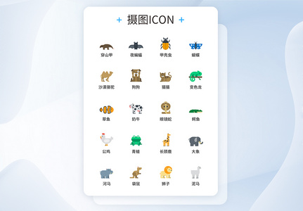 动物图标UI设计icon图标图片