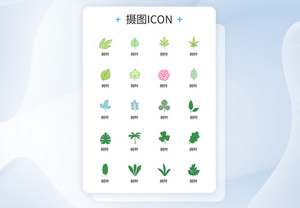 树叶UI设计icon图标图片