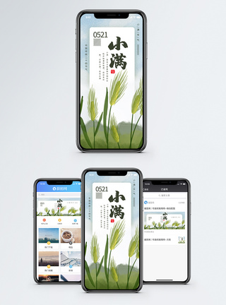 小满节气手机海报配图图片