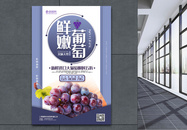 鲜嫩葡萄创意水果促销系列海报图片
