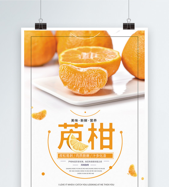 黄色简洁芦柑海报图片