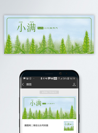 青色麦穗二十四节气小满公众号封面配图模板
