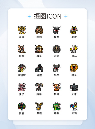 UI设计纯原创动物图标icon图片