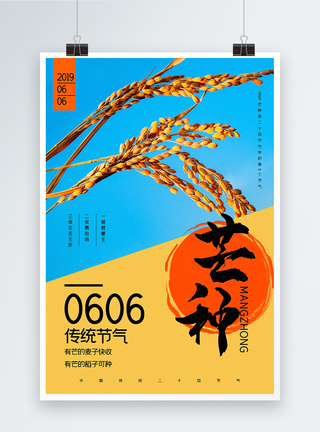 水稻收获撞色芒种传统节气24节气宣传海报模板