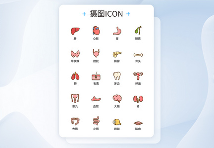 UI设计器官医疗图标icon图标设计图片