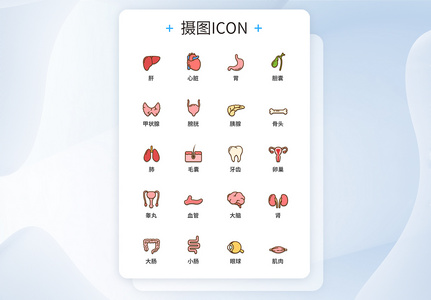 UI设计器官医疗图标icon图标设计高清图片