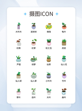 UI设计植物图标icon图标设计图片