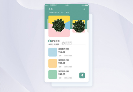 UI设计多肉植物促销APP界面设计高清图片