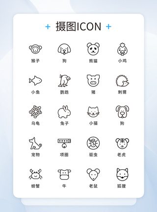 小动物UI设计动物类icon图标模板