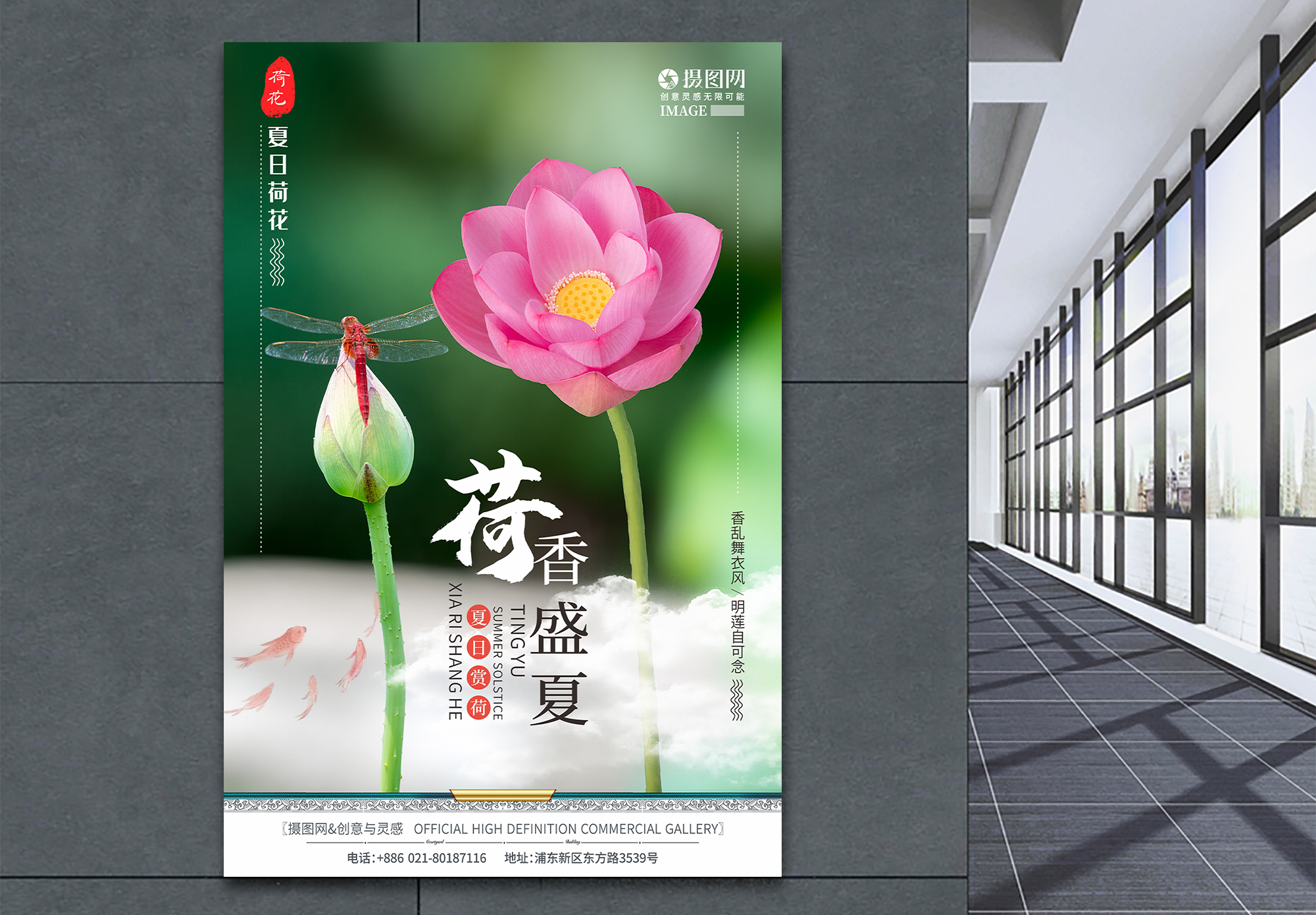 佛教莲花素材图片