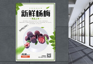 简约清新水果新鲜杨梅上市美食海报图片