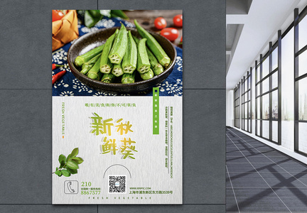 新鲜秋葵夏季美食蔬菜海报图片